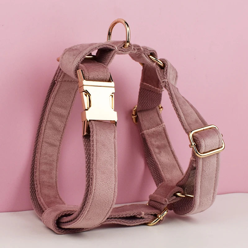 Set de Collar y Correa de Terciopelo Lila Personalizable