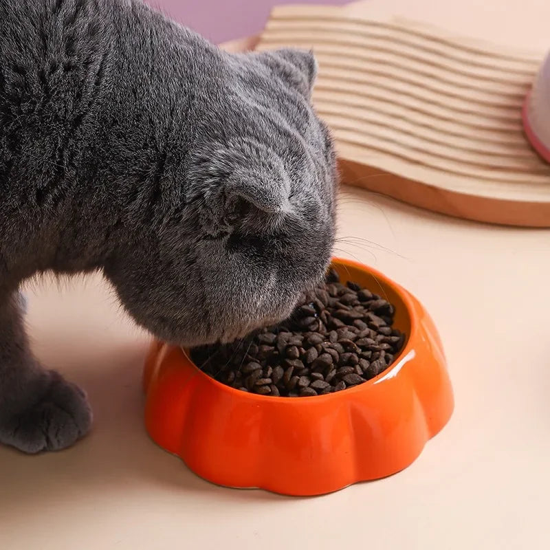 Comedero de Cerámica con Diseño de Frutas para Gatos y Perros Pequeños