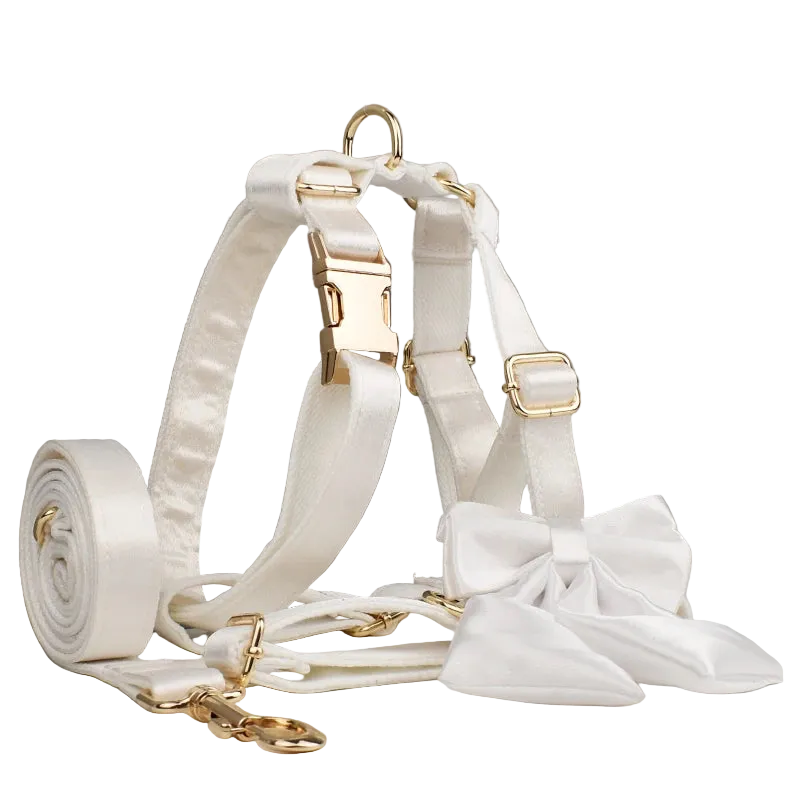 Set de Collar, Arnés, Correa y Lazo Personalizable Satín blanco