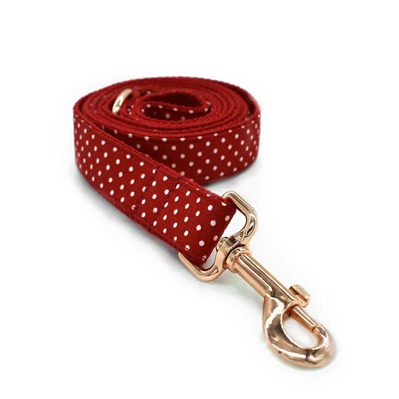 Conjunto de Collar y Correa Sólidos de Nylon para Perros – Seguridad y Comodidad en Cada Paseo