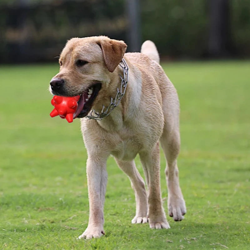 Juguete Masticable Resistente para Perros