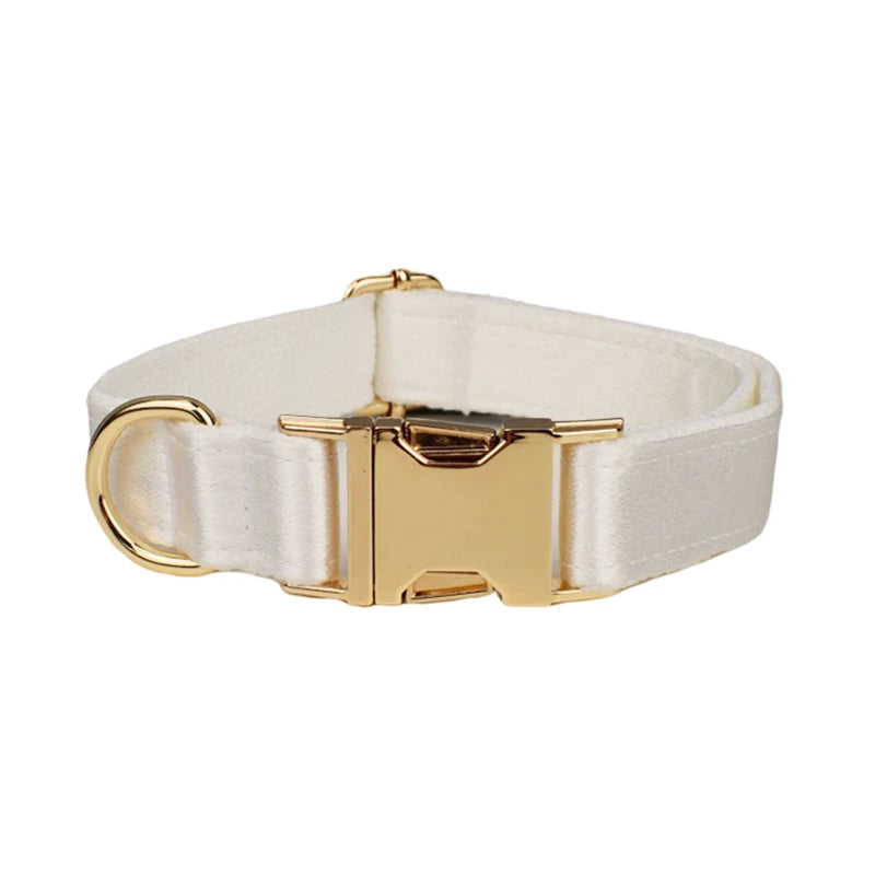 Set de Collar, Arnés, Correa y Lazo Personalizable Estampado