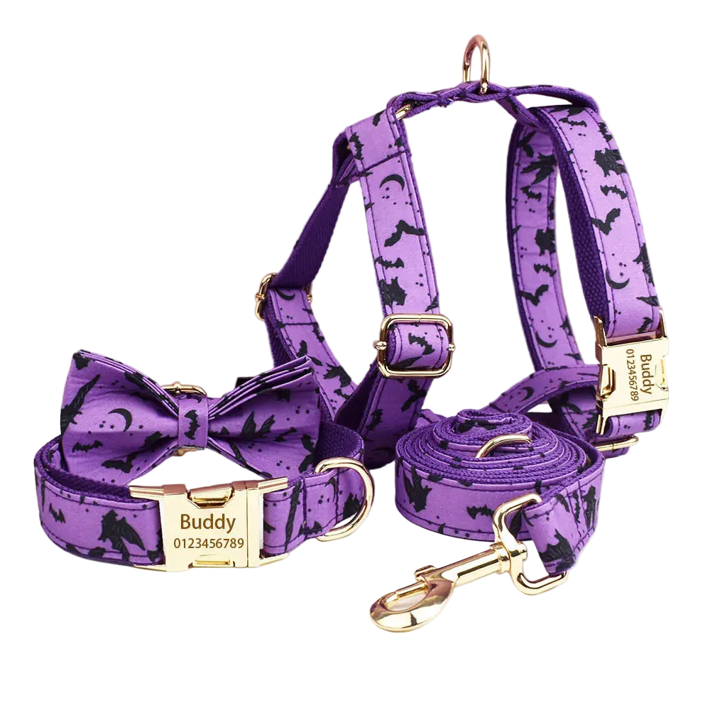 Set de Collar, Arnés y Correa con Placa Grabada Personalizada
