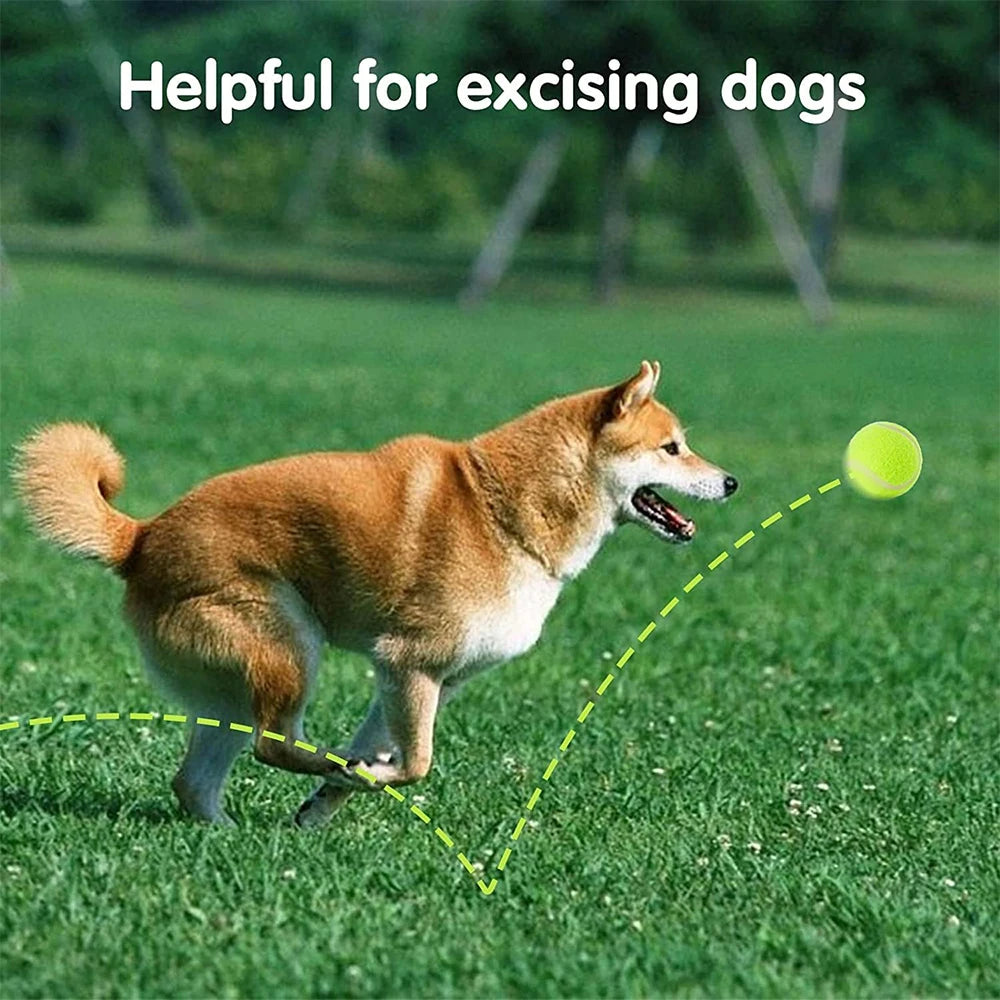 Pack de Pelotas de Tenis para Perros 5 cm