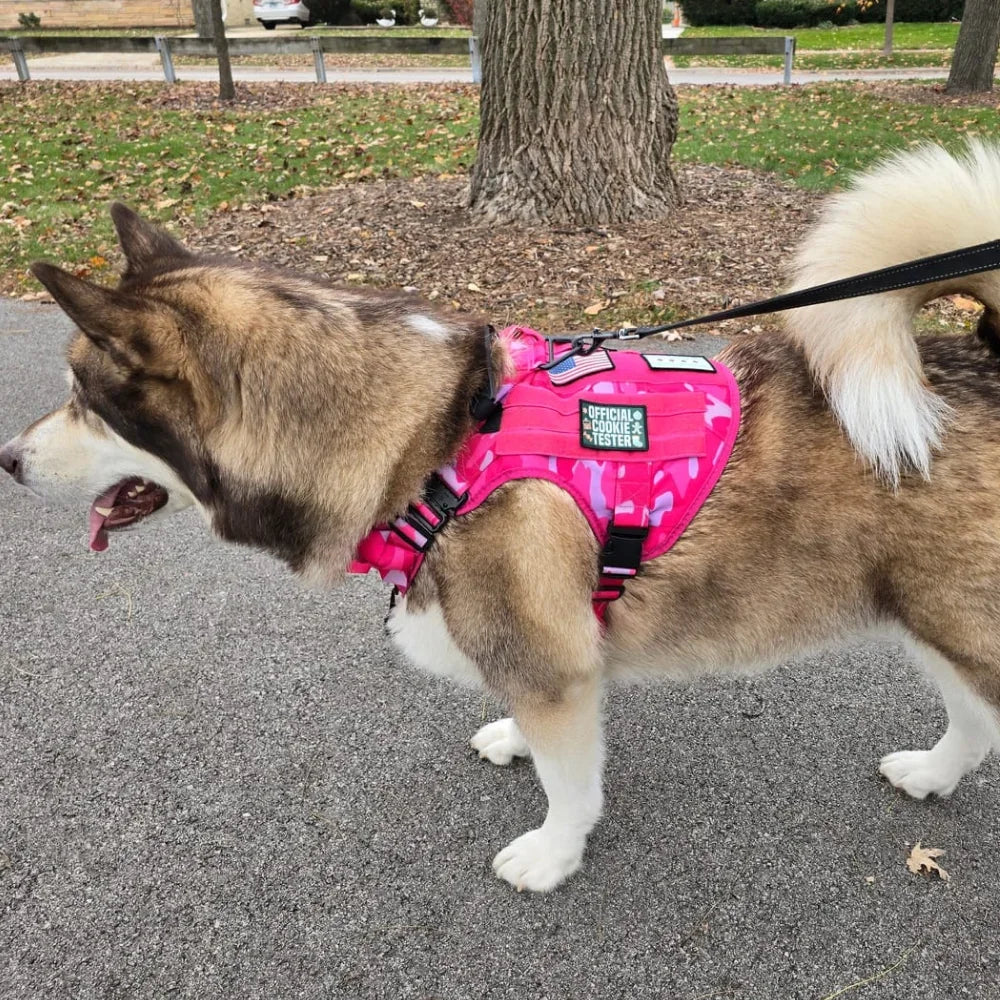 Arnés Táctico Rosa con Asa y Bolsillos para Perro