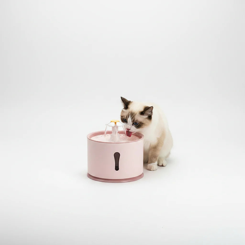 Fuente de Agua para Gatos Rosa Acero Inoxidable Resistente y Silenciosa