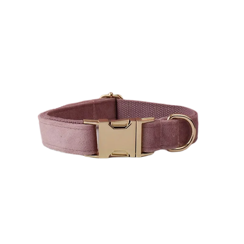 Set de Collar y Correa de Terciopelo Lila Personalizable