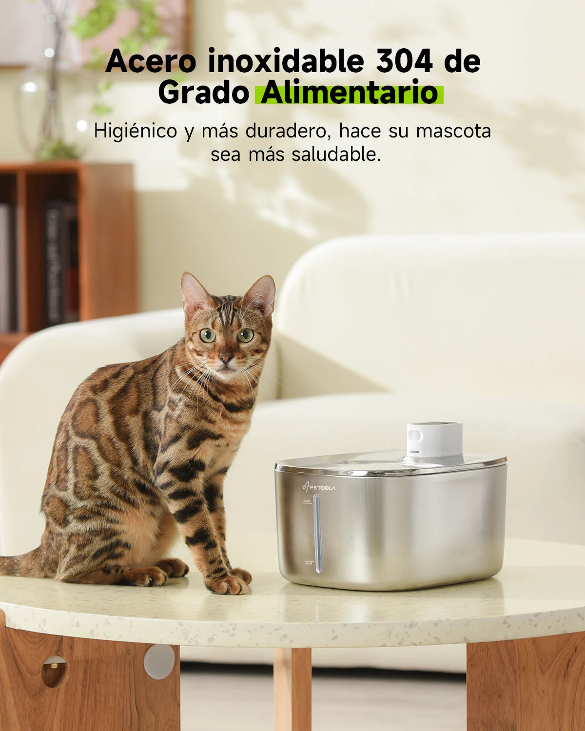 4L Cordless Stainless Steel Fountain: Total Freedom and Purity