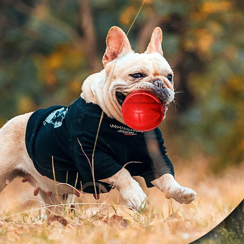 Juguete Masticable Resistente para Perros