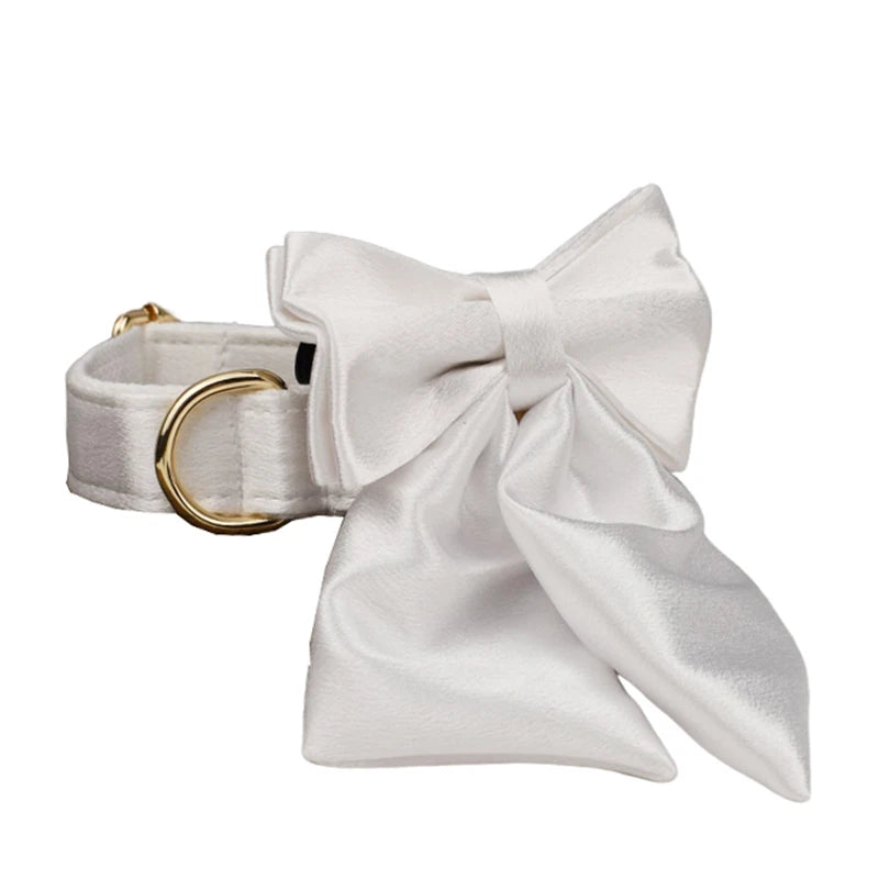 Set de Collar, Arnés, Correa y Lazo Personalizable Estampado