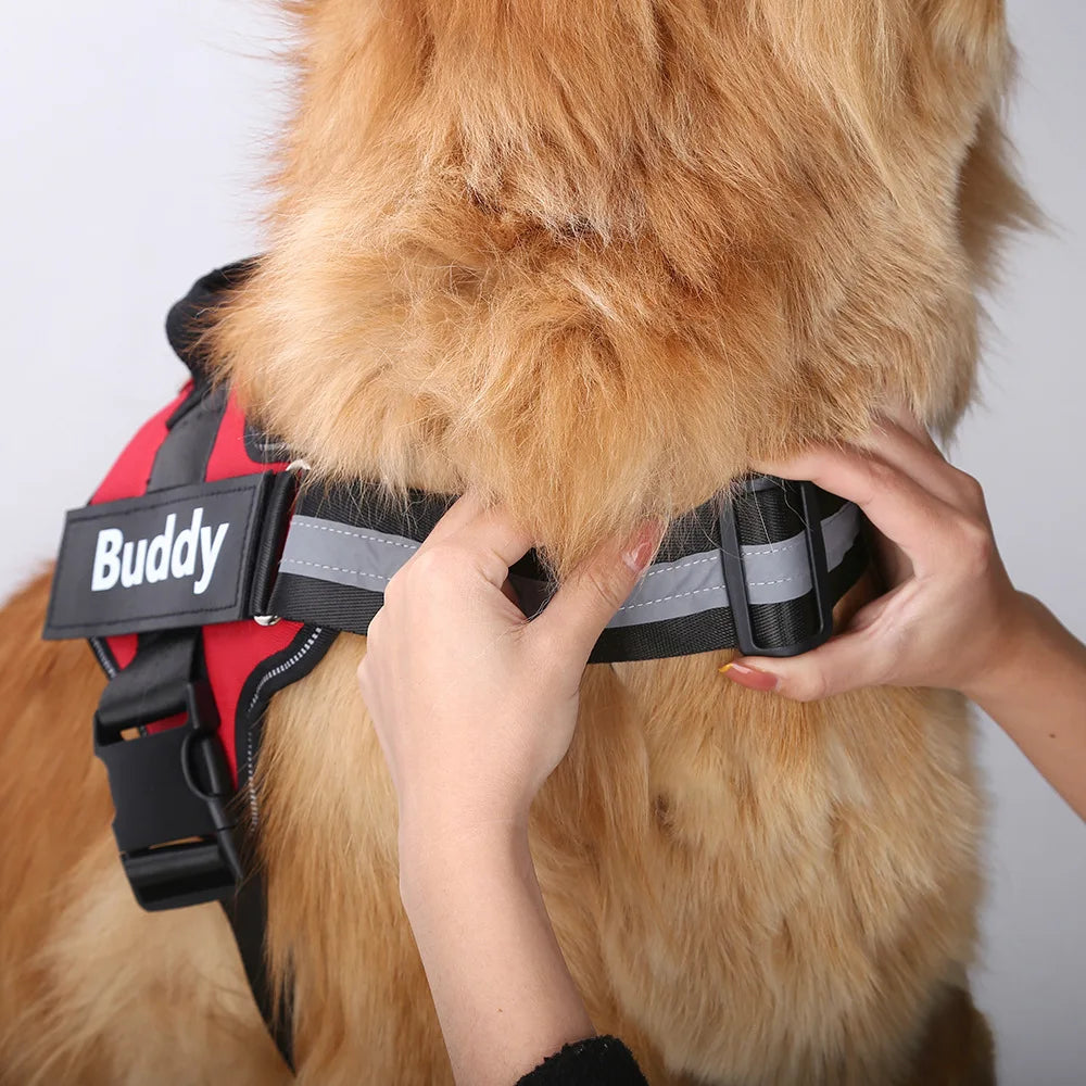 Arnés Personalizable para Perros