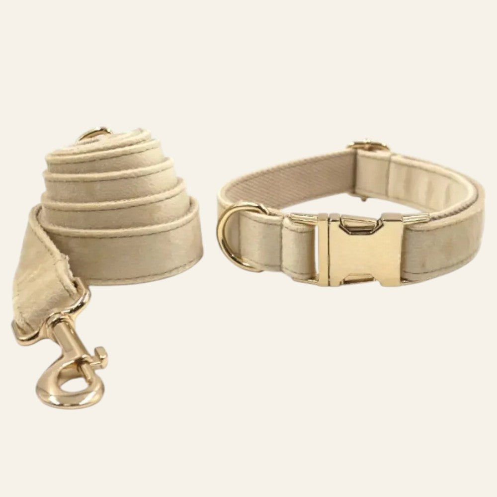 Collar de Nylon Clásico con Correa para Perros – Suave, Resistente y Estiloso