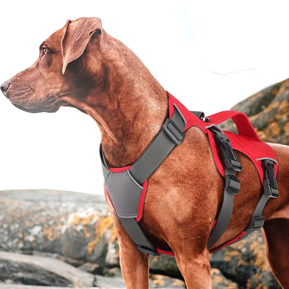 Arnés Rojo Antitirones y Reflectante para Perros – Paseos Seguros y Estilosos