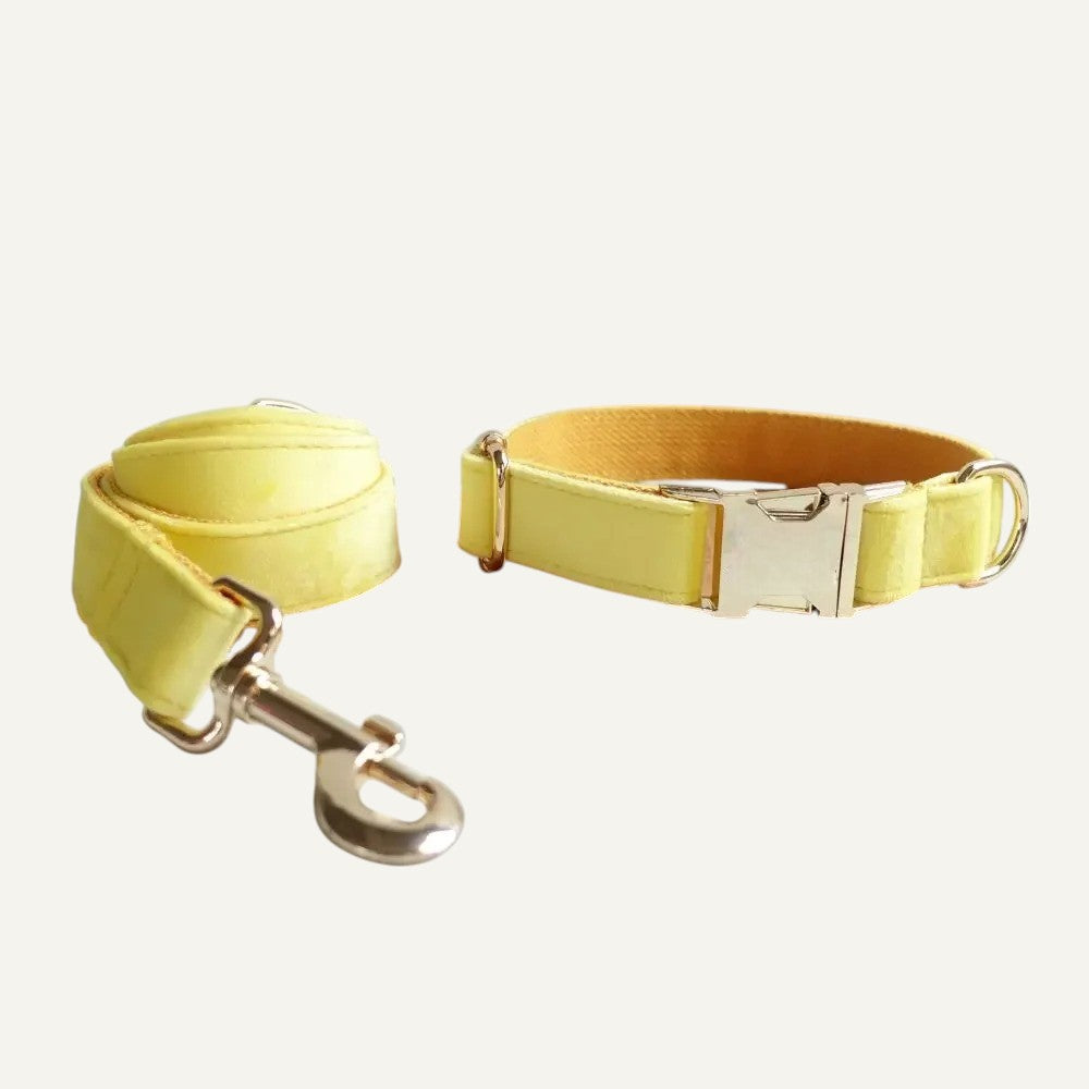 Set de Collar y Correa de Nyon para Perros Amarillo- Elegancia y Comodidad