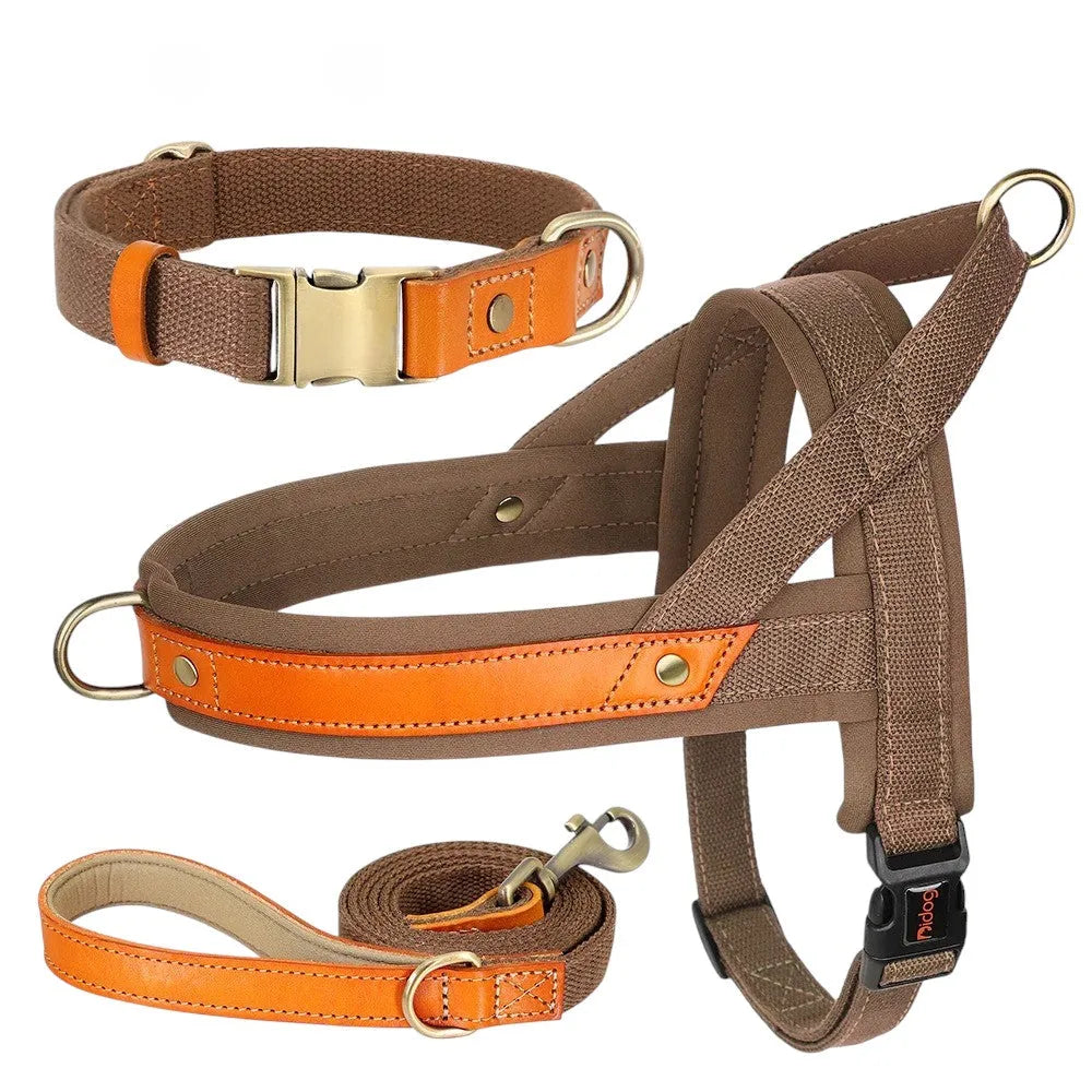 Kit Árnes Perro Completo