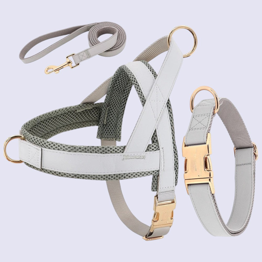 Conjunto de Arnés, Collar y Correa de Cuero y Nylon Gris para Perros – Paseos Seguros y Elegantes