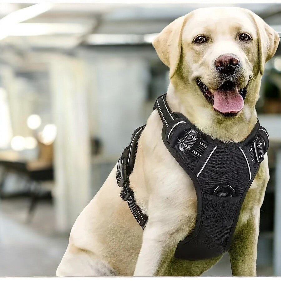 Arnés para Perros Vestido Negro