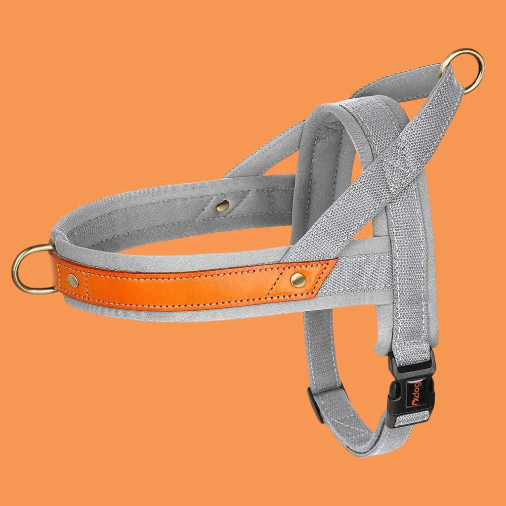 Árnes Perro Antitirones