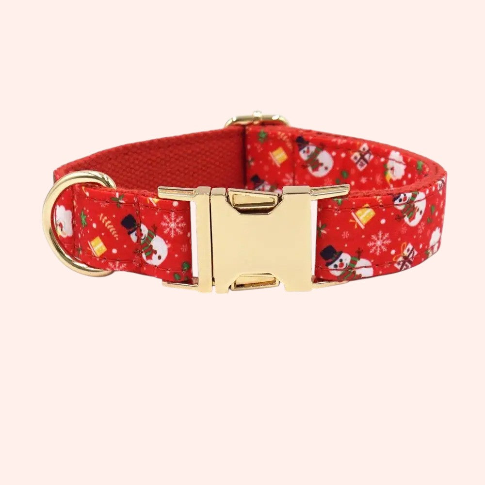 Collar y Correa de Nylon Rojo para Perros – Seguridad y Estilo en Cada Paseo