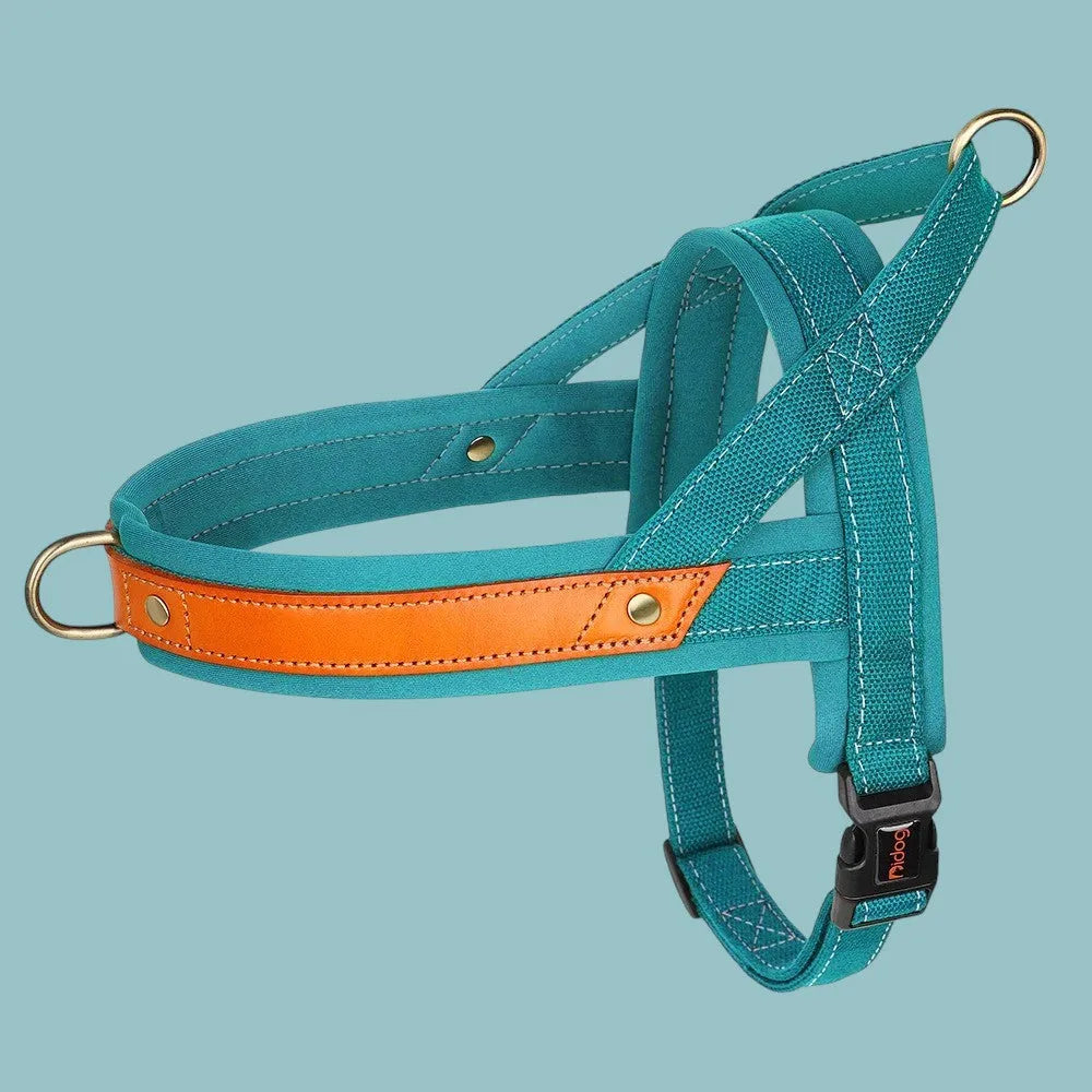 Árnes Perro Antitirones