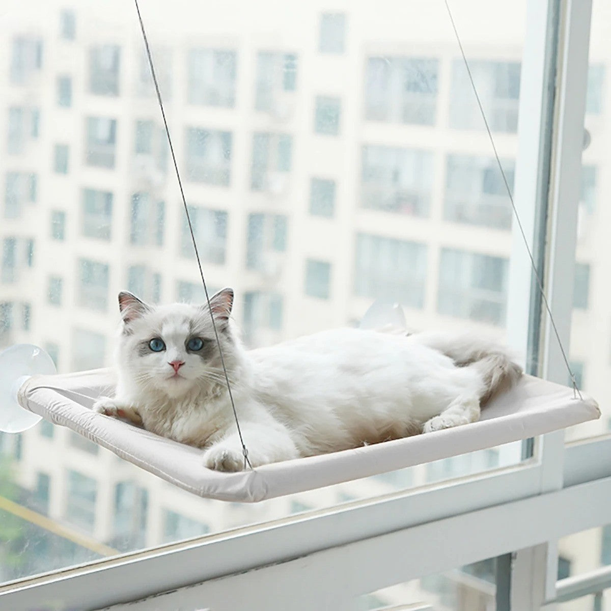 Hamaca Ventana para Gatos de Oxford – Comodidad y Diversión con Vista Panorámica