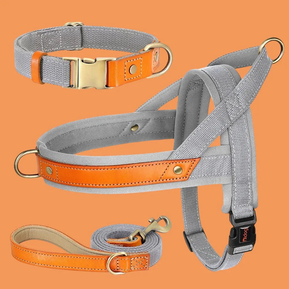 Kit Árnes Perro Completo