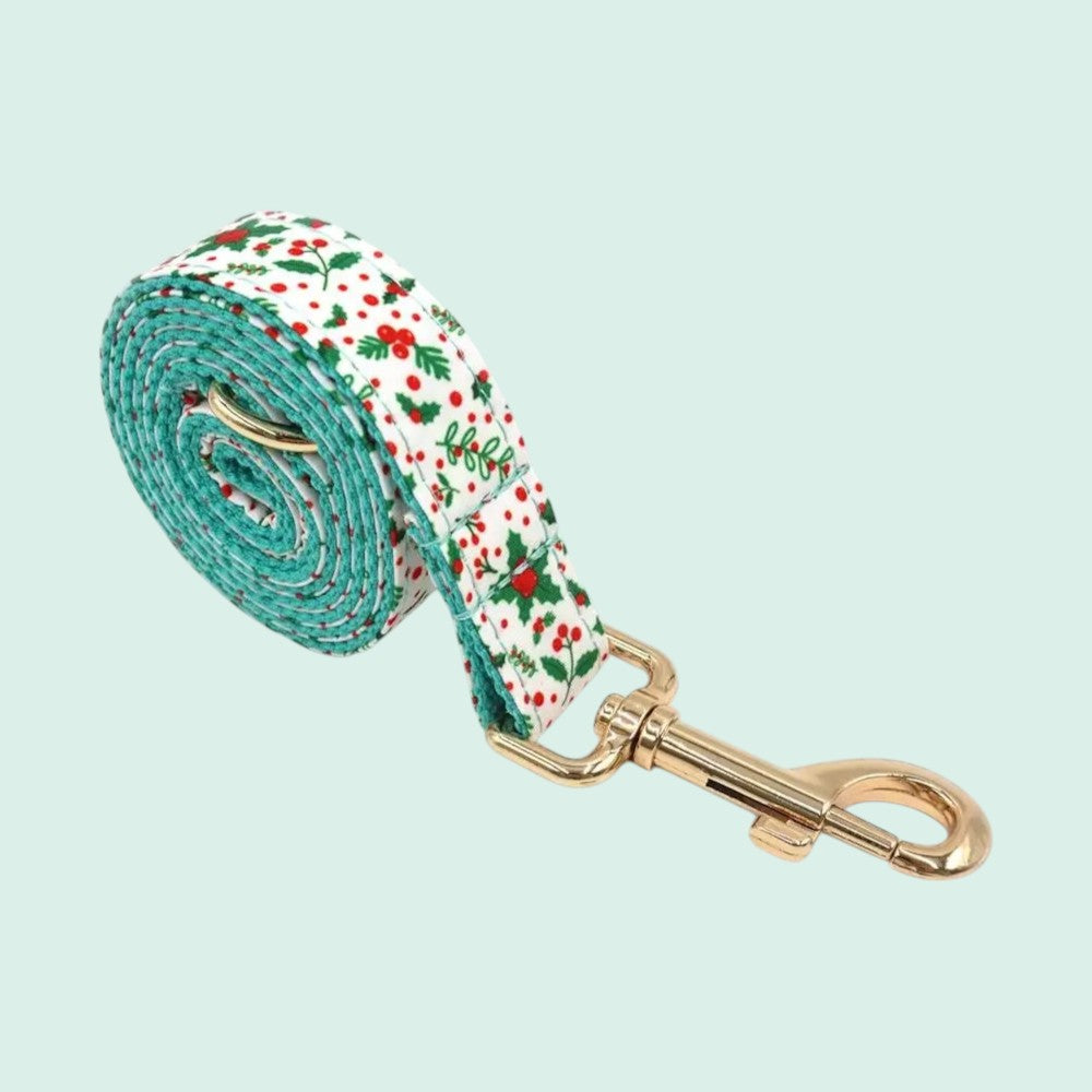 Collar y Correa de Nylon Verde para Perros – Durabilidad y Estilo Natural