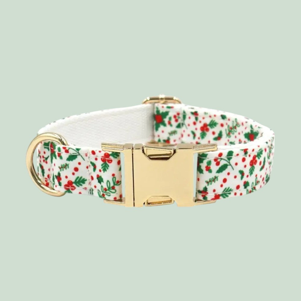 Collar Clásico de Nylon para Perros & Correa – Estilo y Resistencia en Cada Paseo