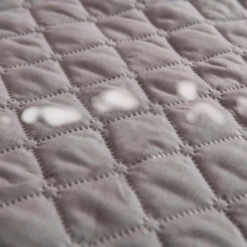 Alfombrilla Impermeable para Perros