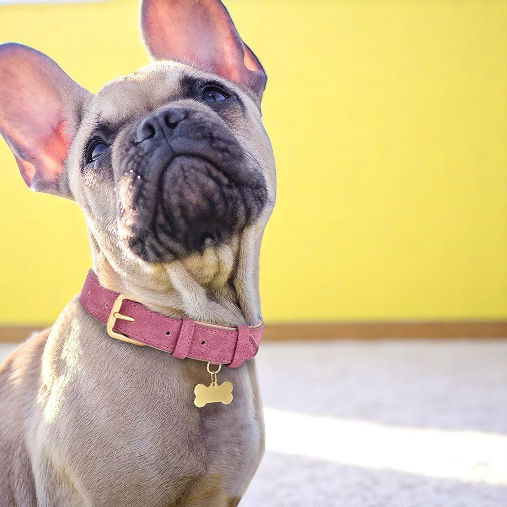 Collar de Cuero Ajustable para Perros – Suavidad, Resistencia y Estilo