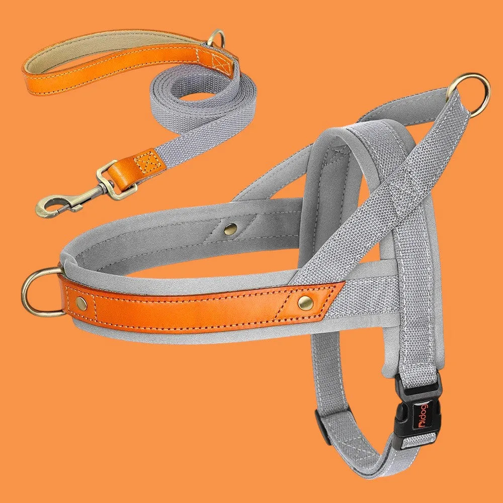 Kit Árnes y Collar para Perros