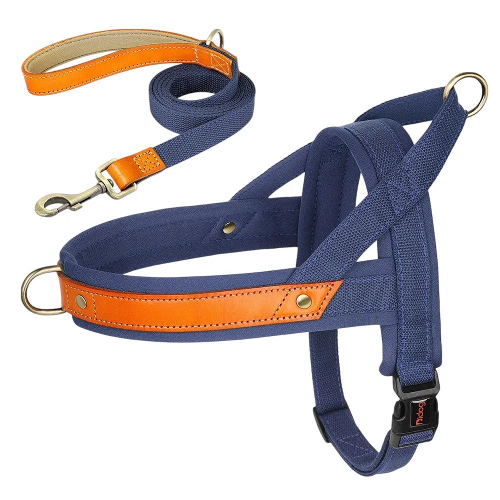 Kit Árnes y Collar para Perros