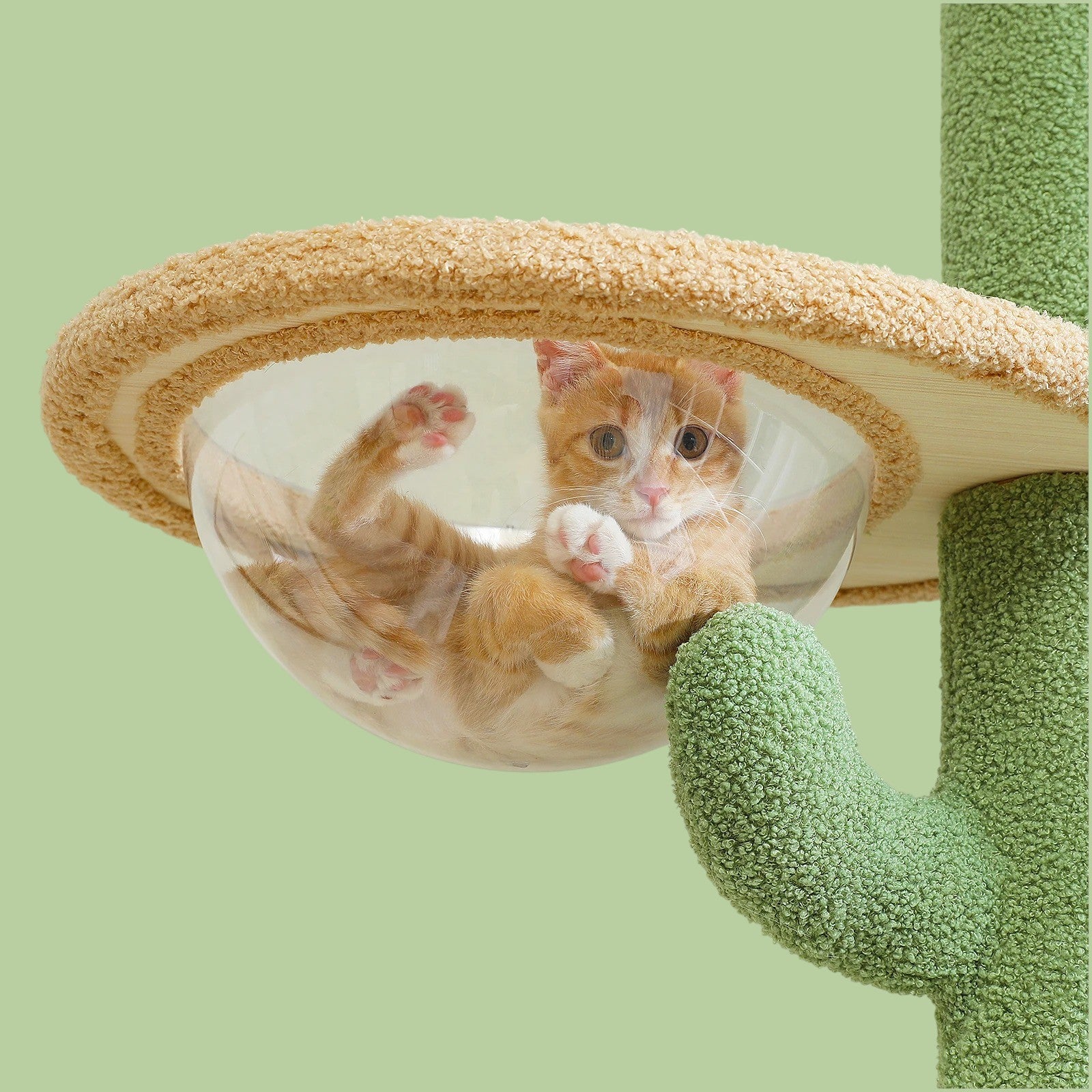 Árbol Cactus Rascador de Gatos 5 Niveles