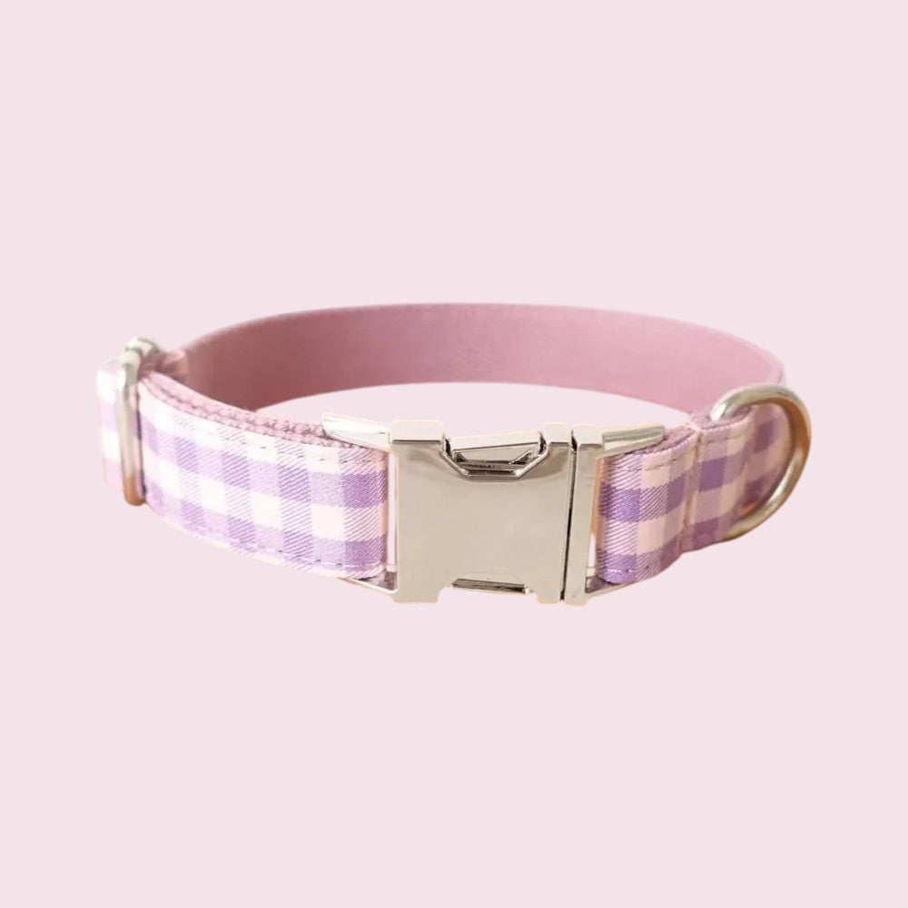 Collar de nylon antiescape para perros: seguridad y estilo en todo momento