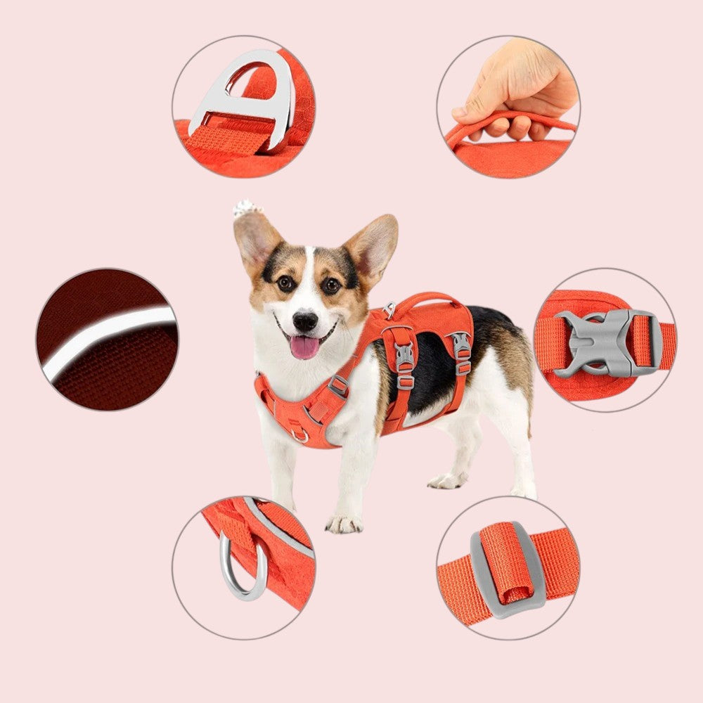 Arnés Naranja Reflectante Antitirones para Perros Pequeños y Medianos – Máxima Seguridad