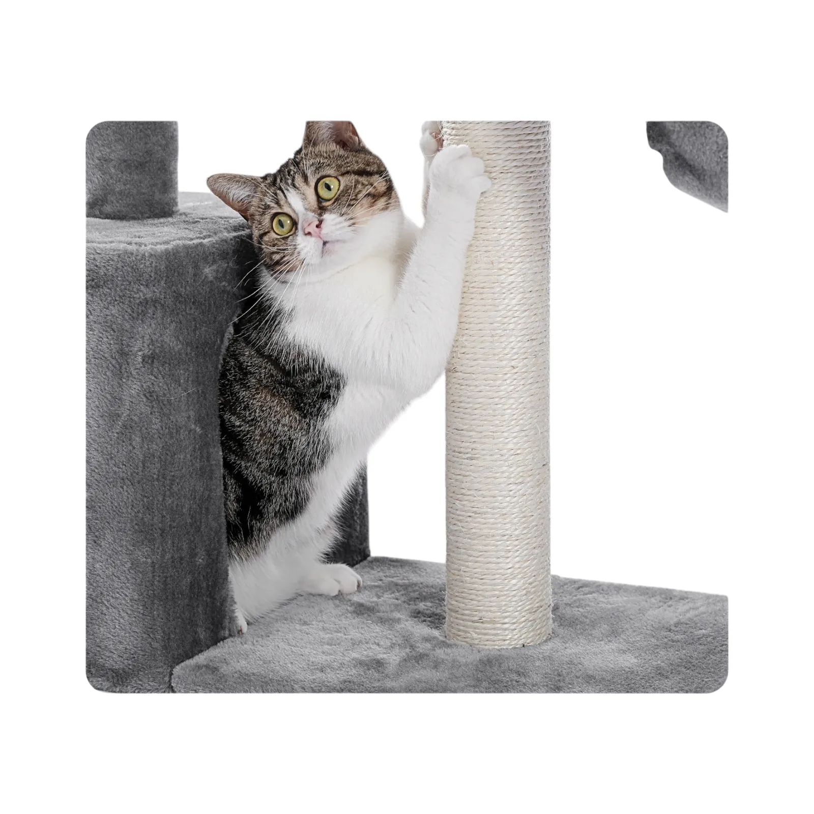 Rascador para Gato 3 Niveles de Gris con Hamaca