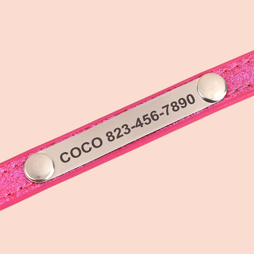Collar Brilloso para Gatos y Perros Rosa/Azul