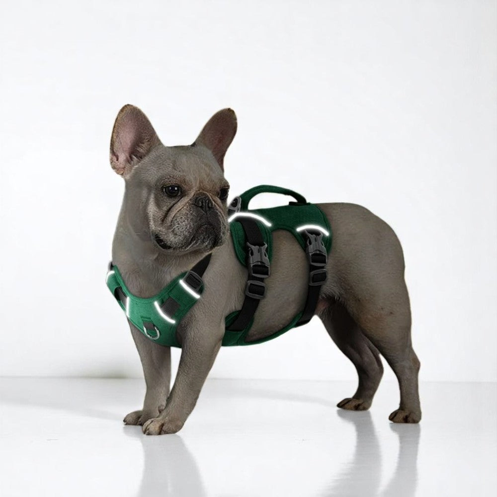 Arnés Verde Reflectante Antitirones para Perros – Seguridad Total