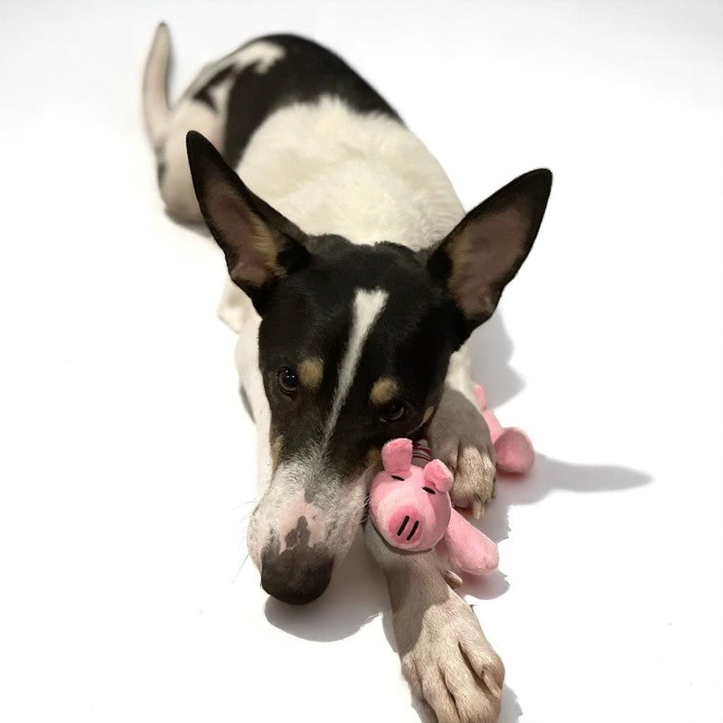 Juguete interactivo de peluche para perros y gatos – ¡Diversión y ternura en cada juego!