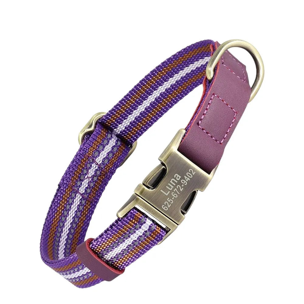 Collar de Nylon y Cuero para Perros