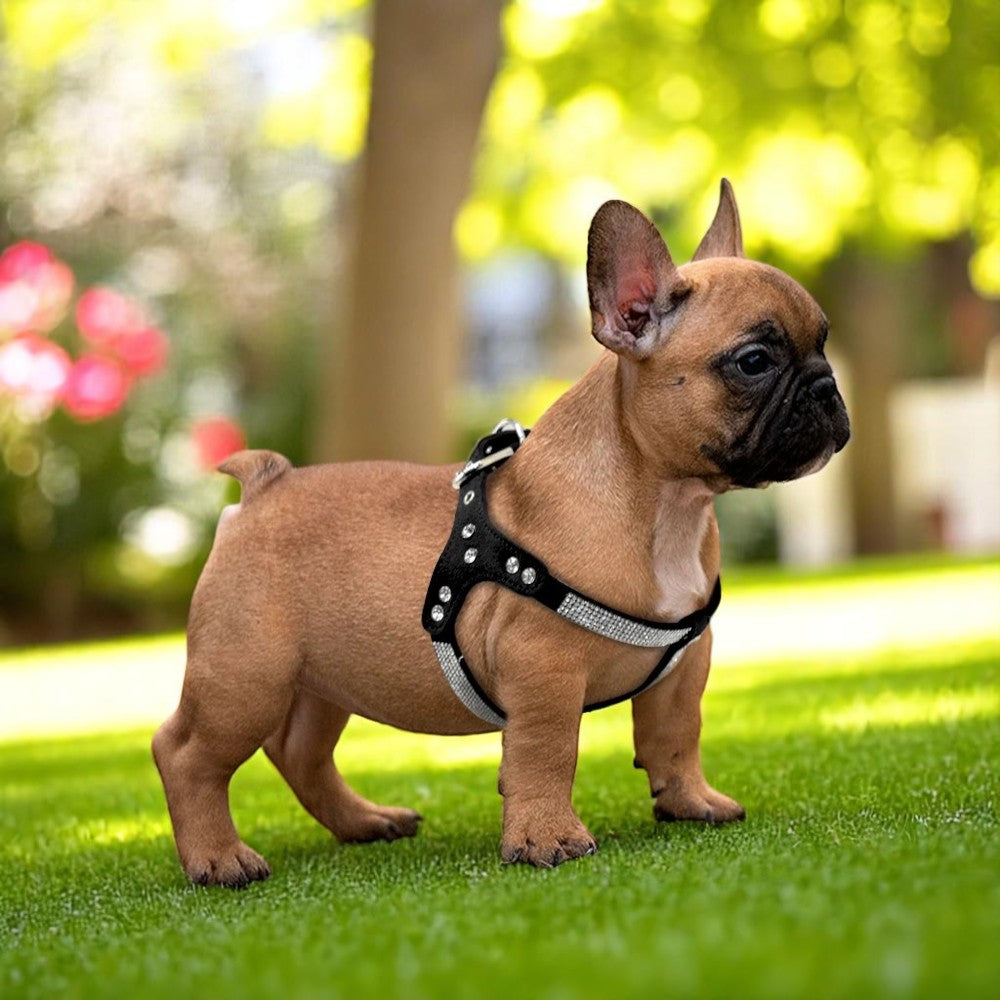 Árnes de Gamuza con Cristales para Perros Color Negro