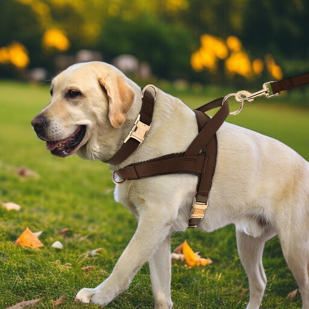 Conjunto de Arnés, Collar y Correa de Cuero y Nylon Marrón para Perros – Paseos Seguros y Elegantes