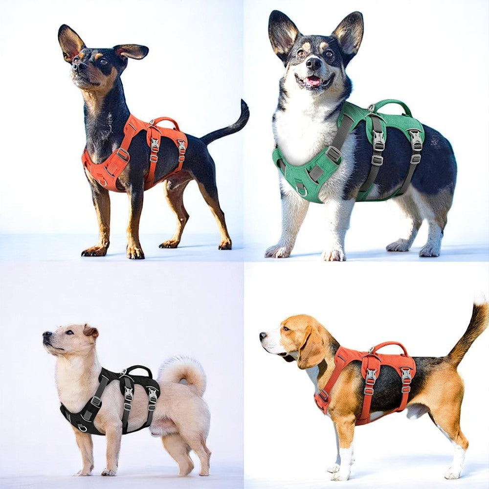 Arnés Naranja Reflectante Antitirones para Perros Pequeños y Medianos – Máxima Seguridad