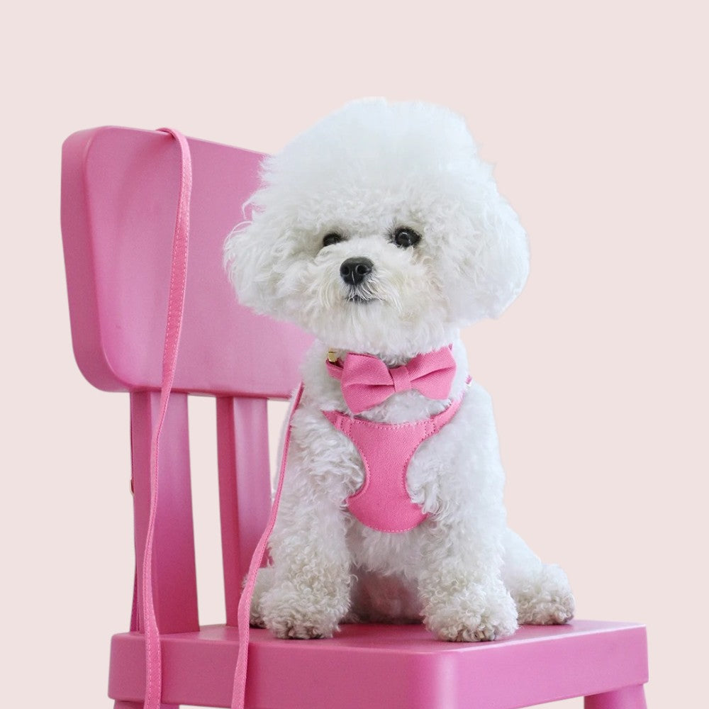 Arnés, Correa y Correa Rosa Antitirones para Perros Pequeños y Mini – Paseos con Estilo y Seguridad