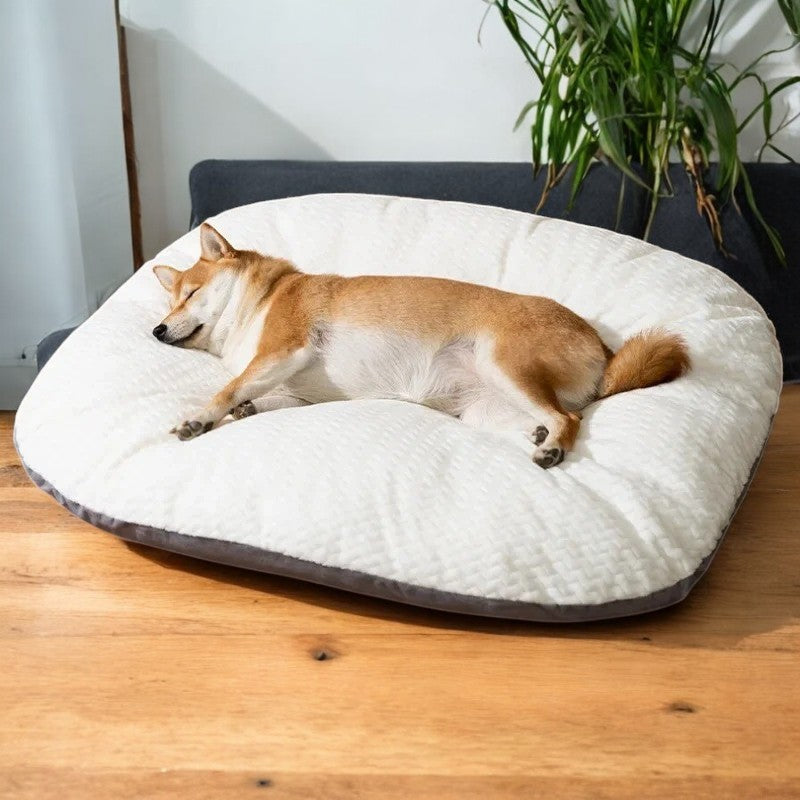 Cama Ultra Cómoda de Terciopelo para Perros