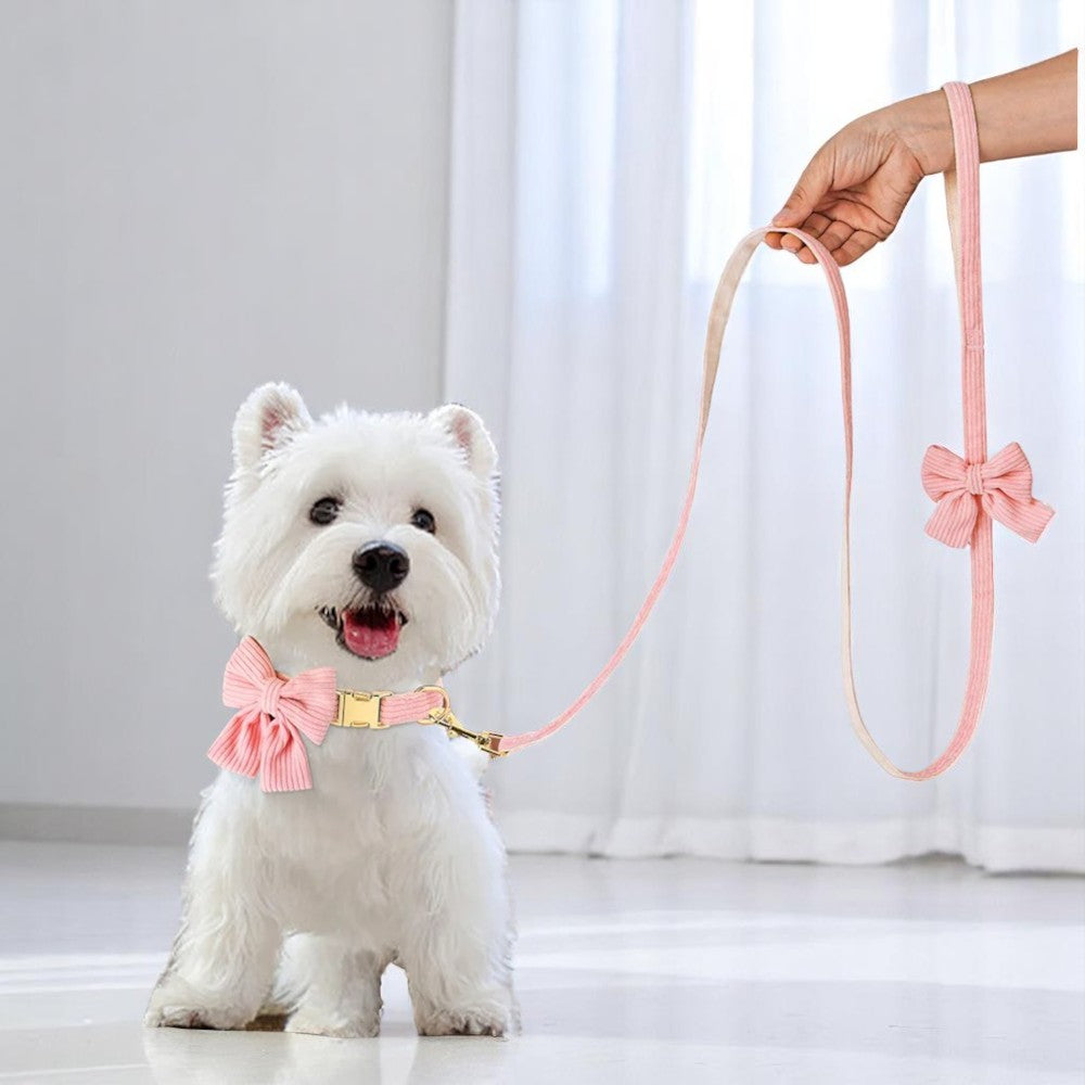 Set de Collar y Correa de Terciopelo Ajustable | Elegancia y Comodidad
