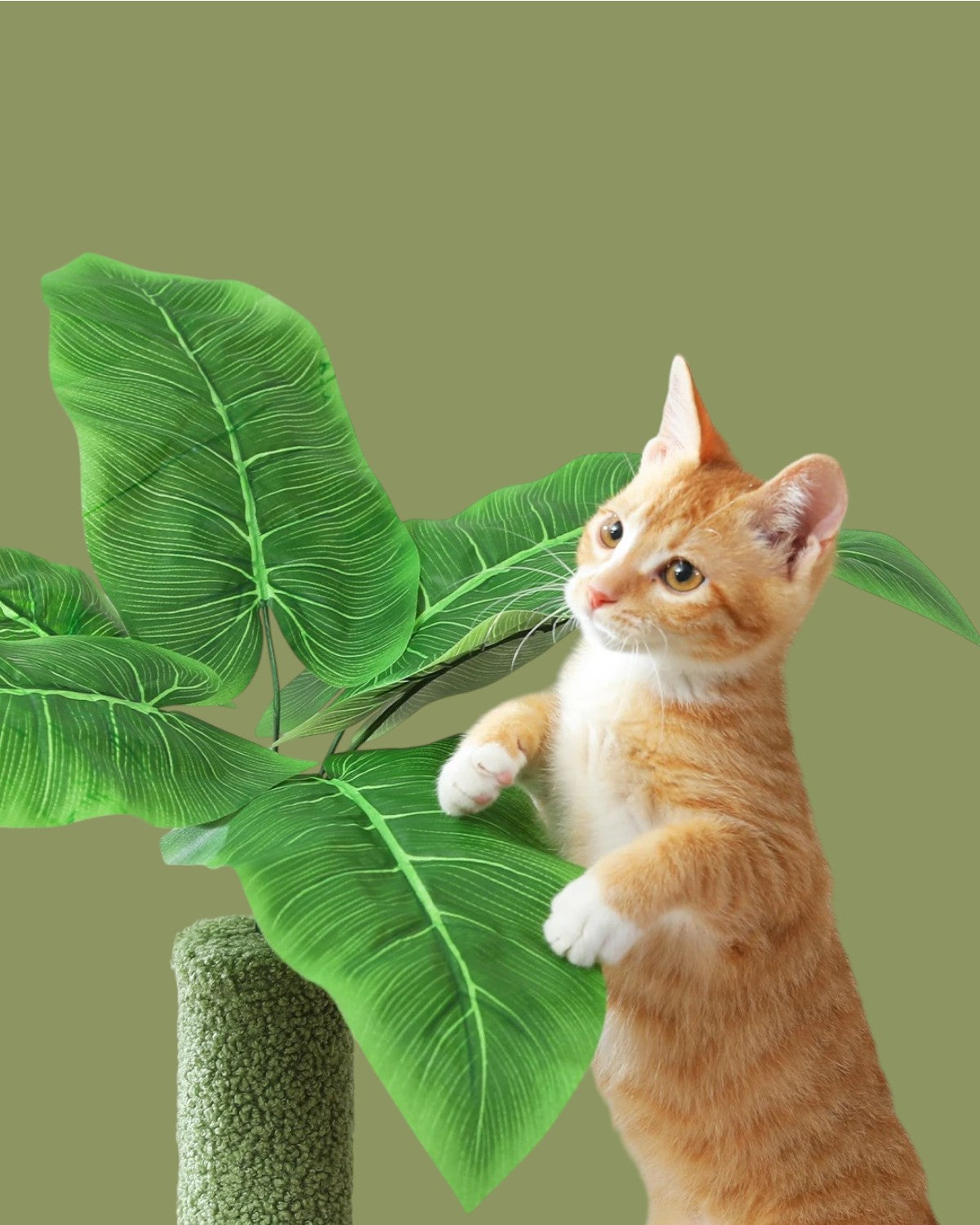 Árbol para Gatos de Múltiples Pisos