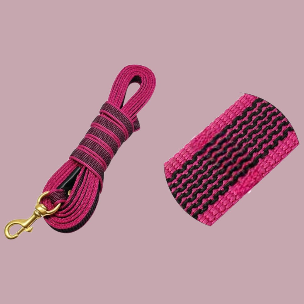 Correa para Perros de Nylon Larga Rosa Intenso