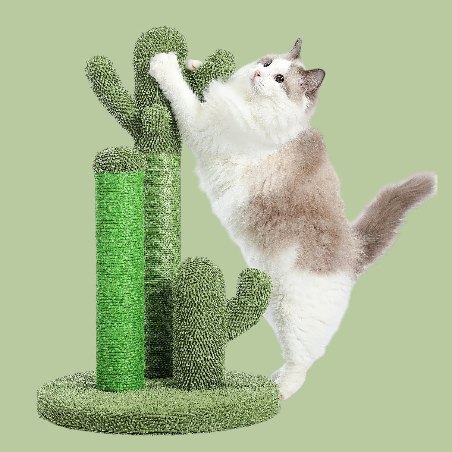 Árbol Rascador de Cactus para Gatos