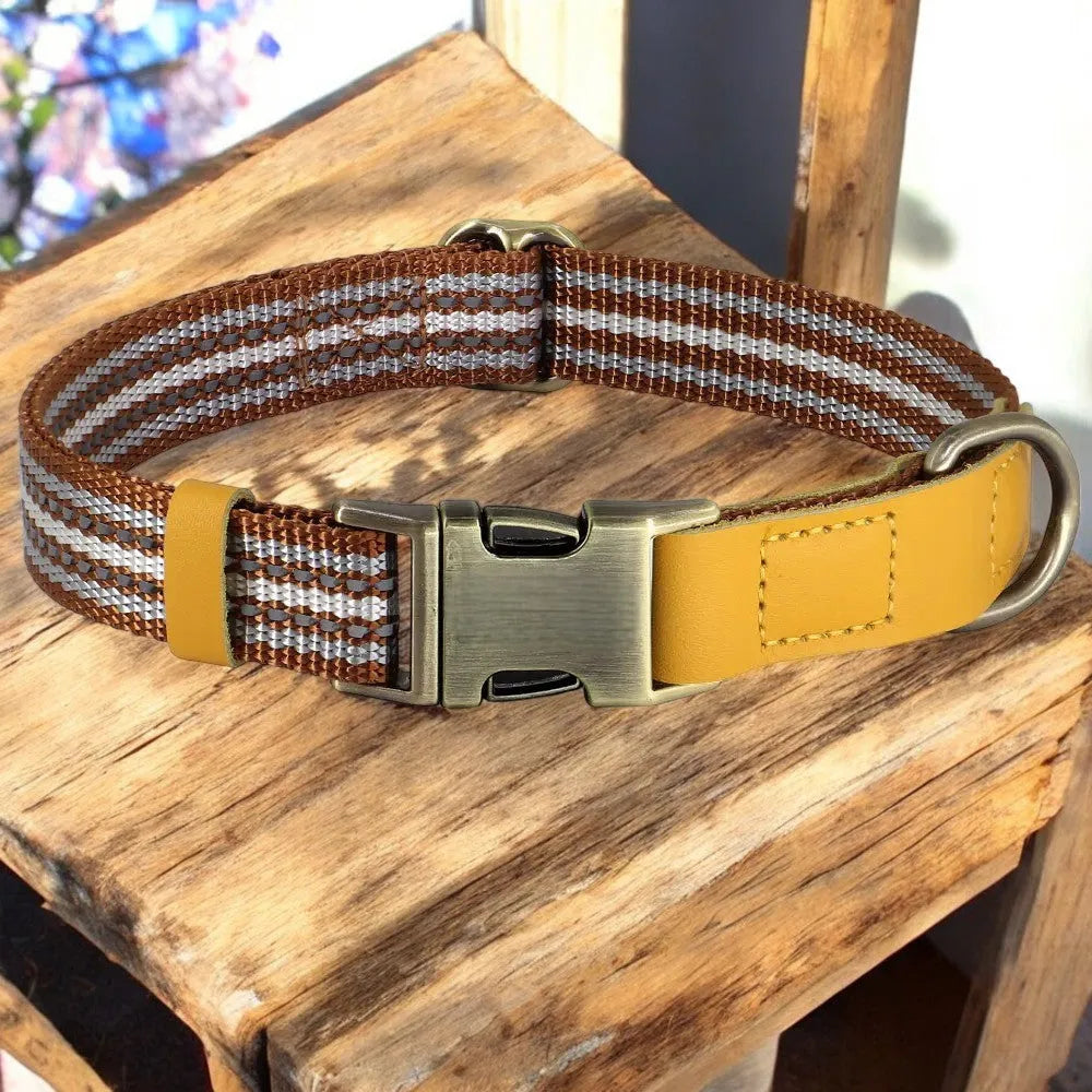 Collar de Nylon y Cuero para Perros
